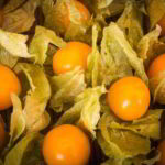 vitamine physalis