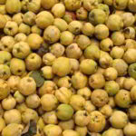 vitamine quitte