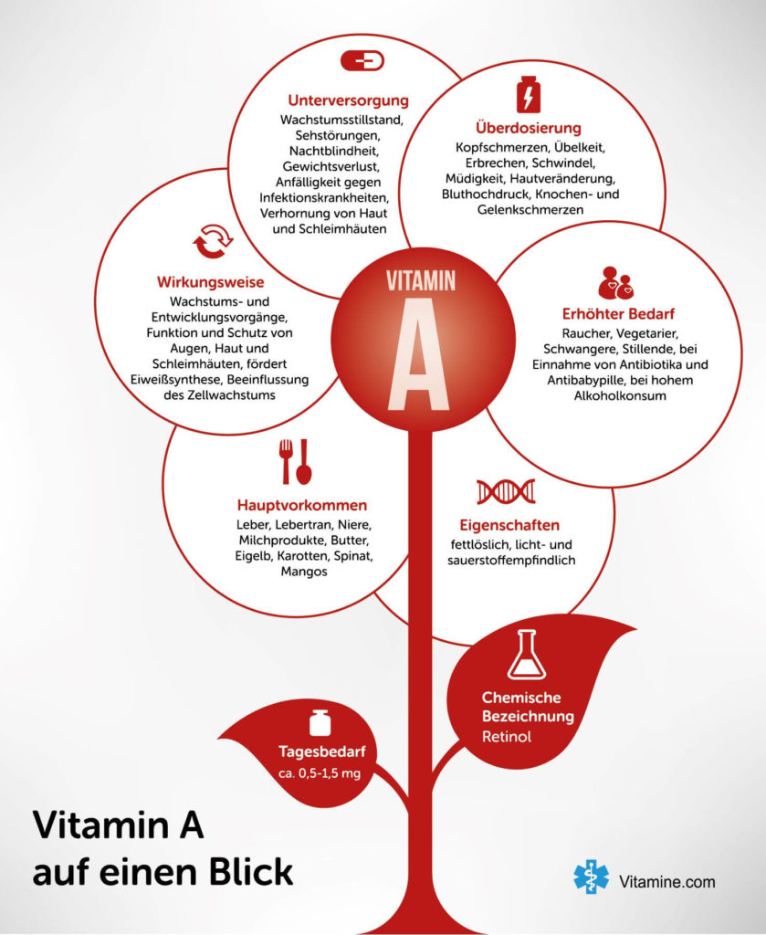 Infografik: Alles zu Vitamin A