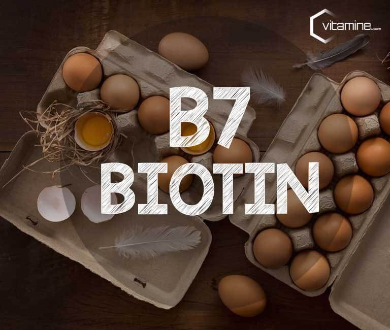 Biotin - alle Infos