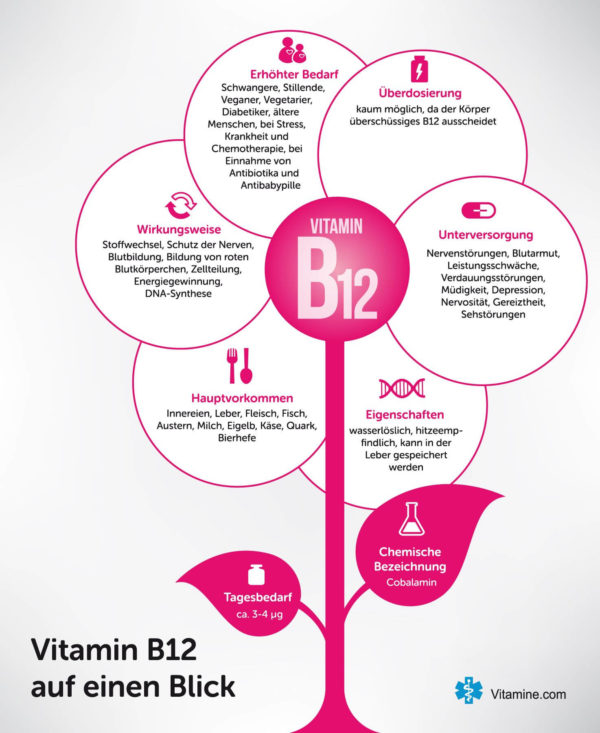 Infografiken zu allen Vitaminen - vitamine.com