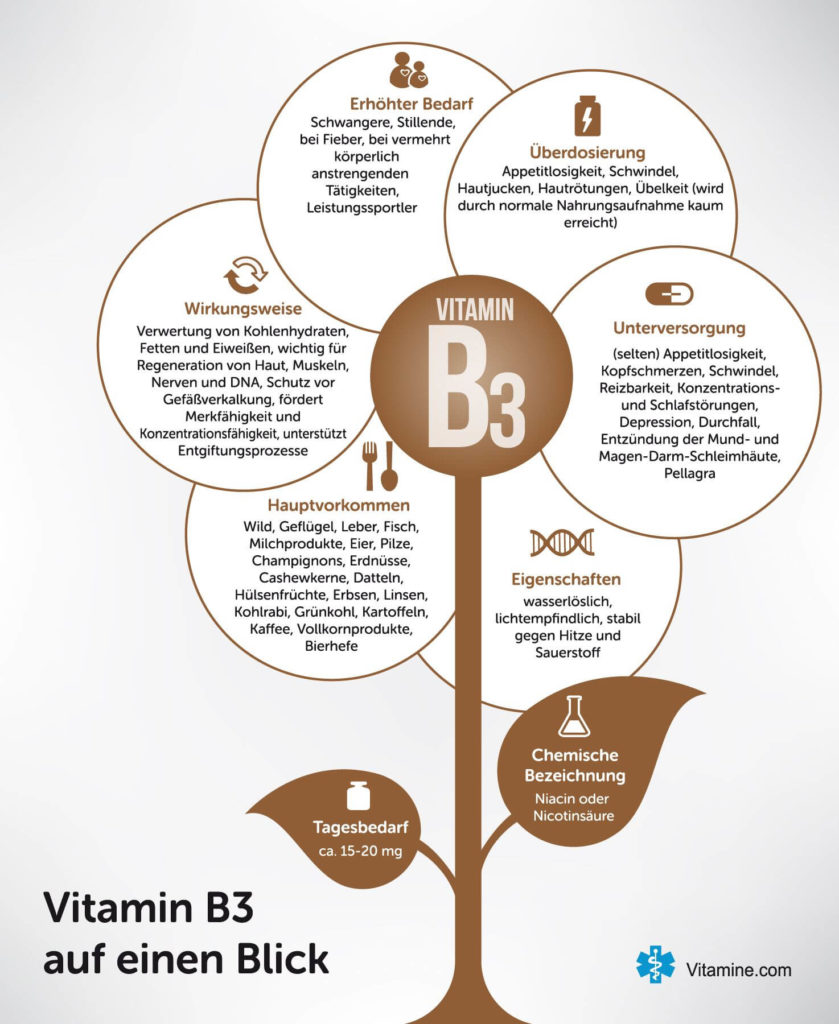 Infografik Vitamin B3 / Niacin