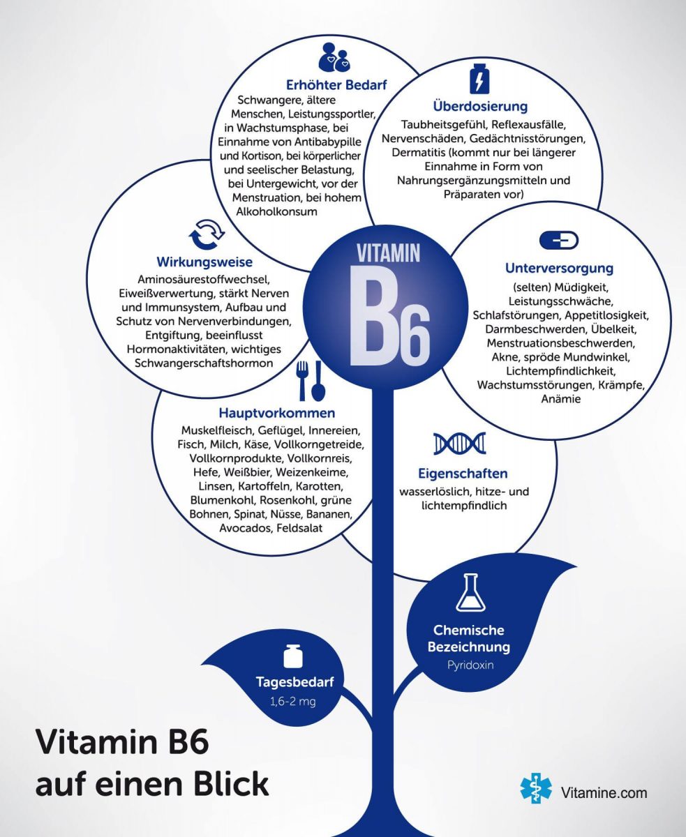 vitamin-b6-infografik