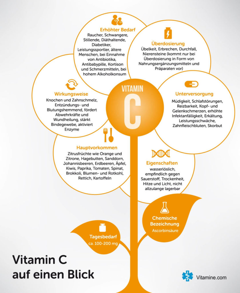 Vitamin C Infografik auf vitamine.com