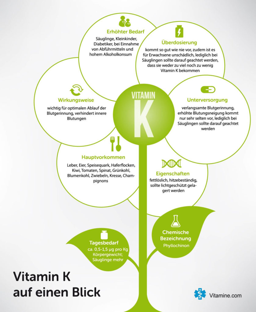 Infografik zu Vitamin K