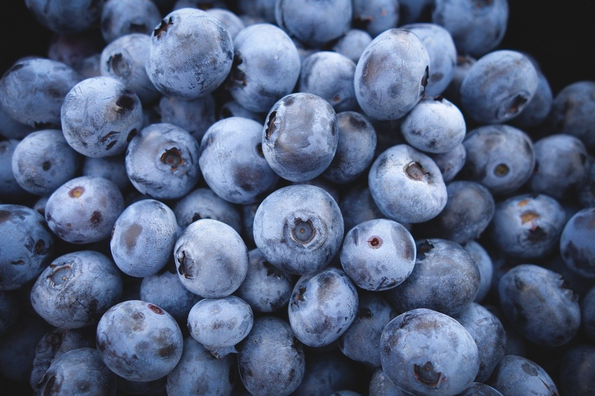 Antioxidantien in Blaubeeren