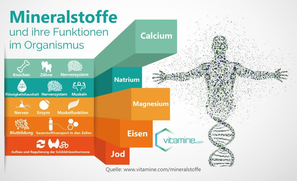 Mineralstoffe: Die wichtigsten im Überblick