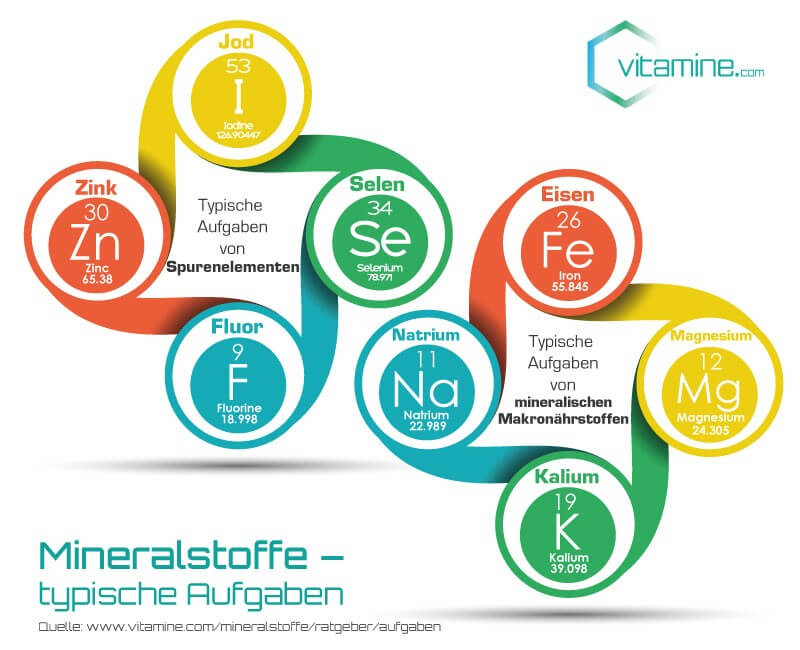 Mineralstoffe Typische Aufgaben