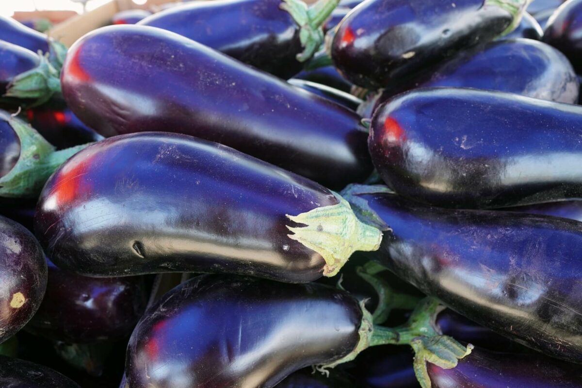 Aubergine – Nachtschattengewächs mit Gesundheitswert