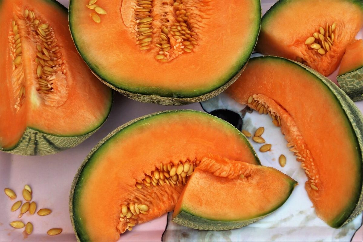 Cantaloupe Melone: Viele Vitamine und Nährstoffe
