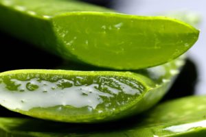 Aloe Vera als Superfood