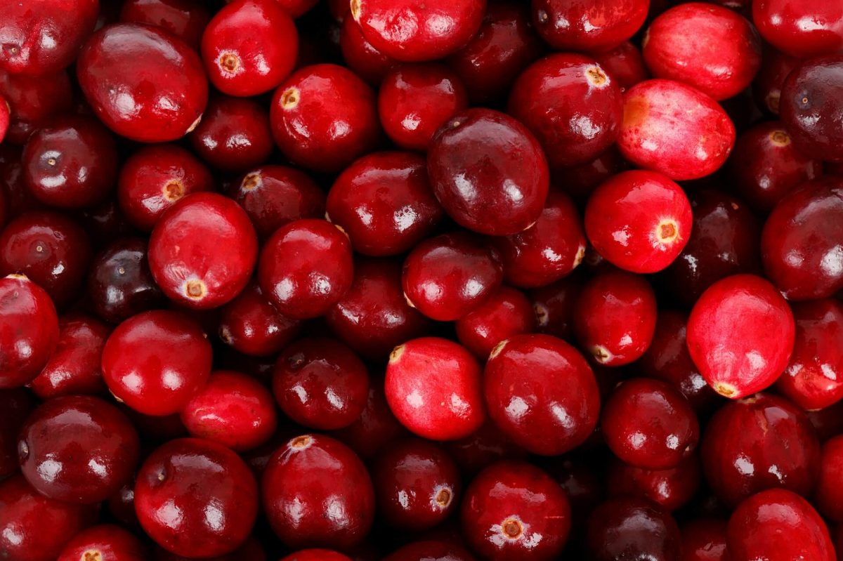 Welche Vitamine stecken in der Cranberry?