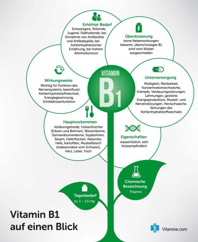 Infografik Vitamin B1